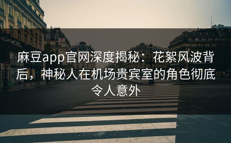 麻豆app官网深度揭秘：花絮风波背后，神秘人在机场贵宾室的角色彻底令人意外