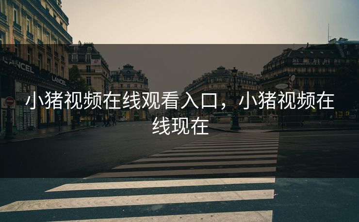 小猪视频在线观看入口，小猪视频在线现在